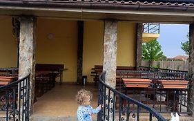 Pensiunea Casa Steli